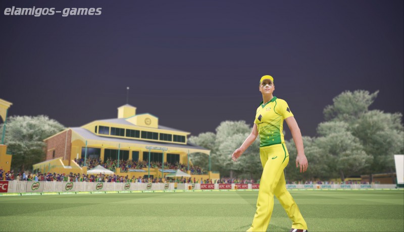 Download Ashes Cricket