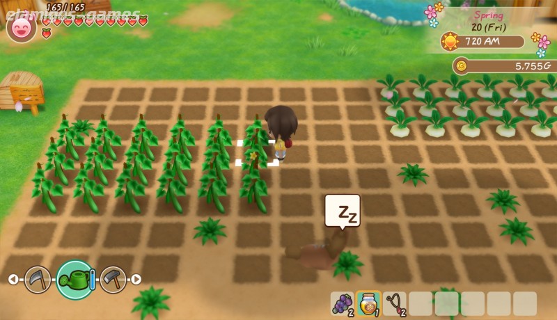 Download Story of Seasons Friends of Mineral Town