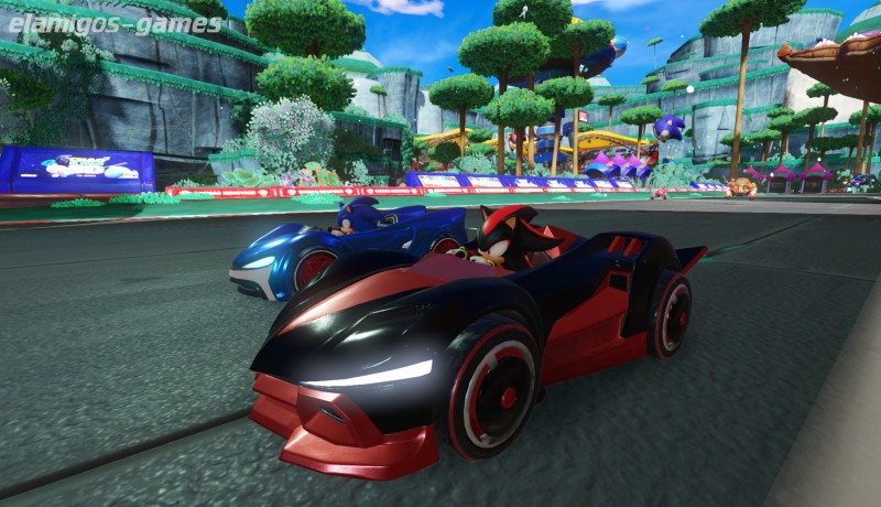 Download Team Sonic Racing