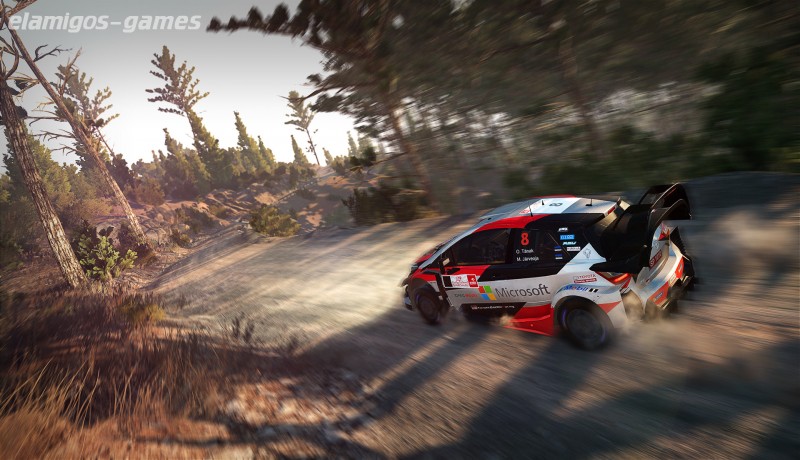 Download WRC 8: FIA World Rally Championship